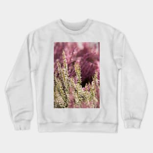 Common Heather Crewneck Sweatshirt